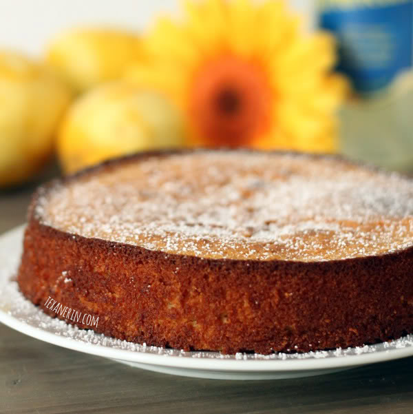 Italian Chocolate Cake With Ground Almonds Italian Chocolate Cake With Ground Almonds