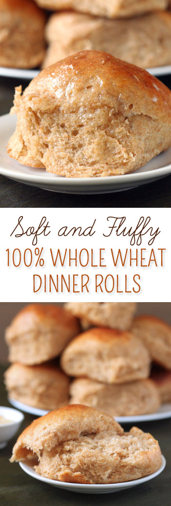 These 100% whole wheat dinner rolls are fluffy, stay soft for days, and make excellent sandwiches!