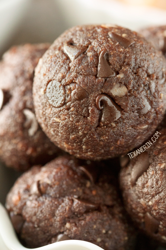 Chocolate Peanut Butter Protein Balls (vegan, gluten-free, grain-free and dairy-free