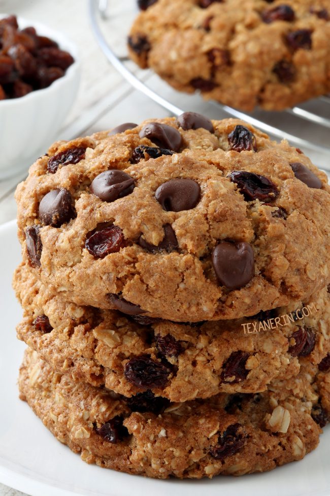 Gluten-free Oatmeal Cookies (dairy-free) - Texanerin Baking