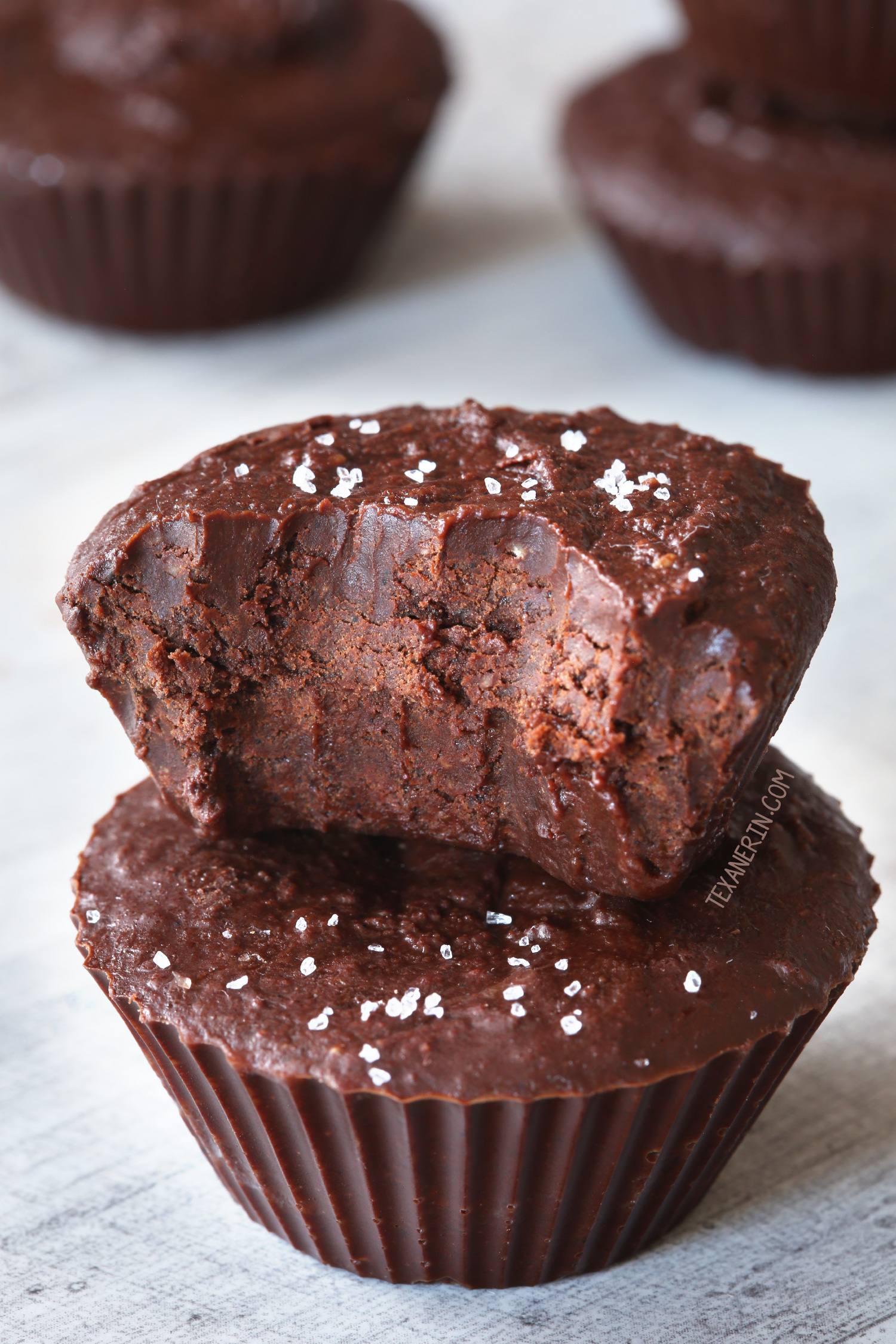 Paleo Vegan Chocolate Fudge (nut-free) - Texanerin Baking