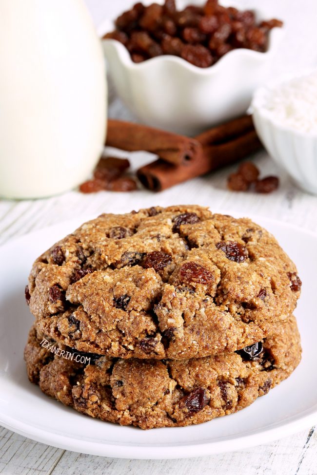 substitute for raisins in oatmeal cookies