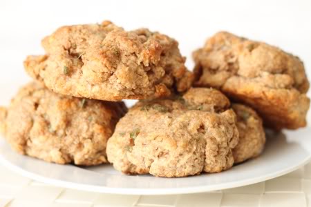 100% Whole Grain Cheddar Garlic Biscuits | texanerin.com