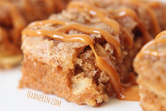 Apple Cake Bars – 100% whole grain and quick and easy to make! | texanerin.com