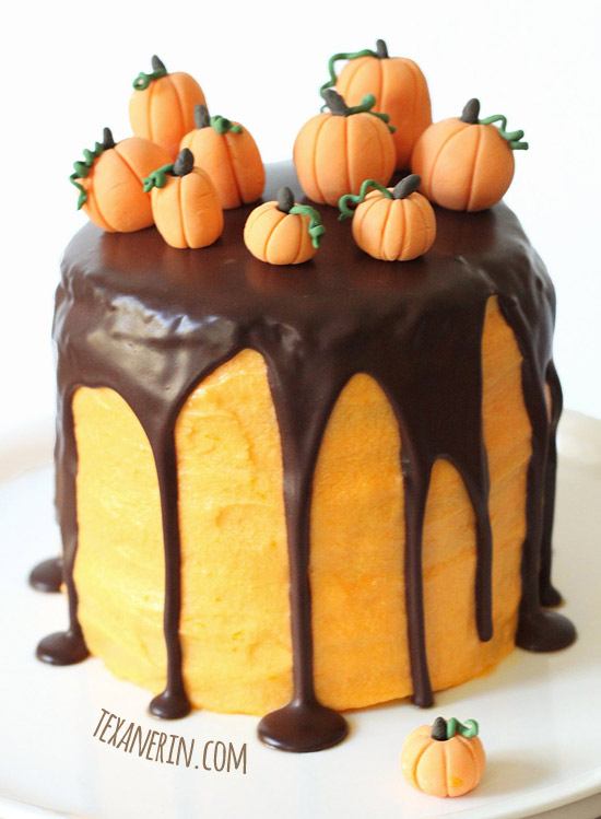 Chocolate Orange Halloween Cake (100% whole grain) | texanerin.com