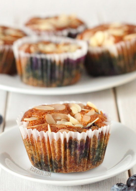 These honey sweetened Lemon Blueberry Muffins are gluten-free, grain-free and dairy-free but still have a great texture!