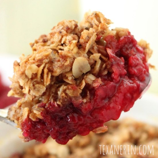 Small Serving 100% Whole Grain Raspberry Crumble | texanerin.com