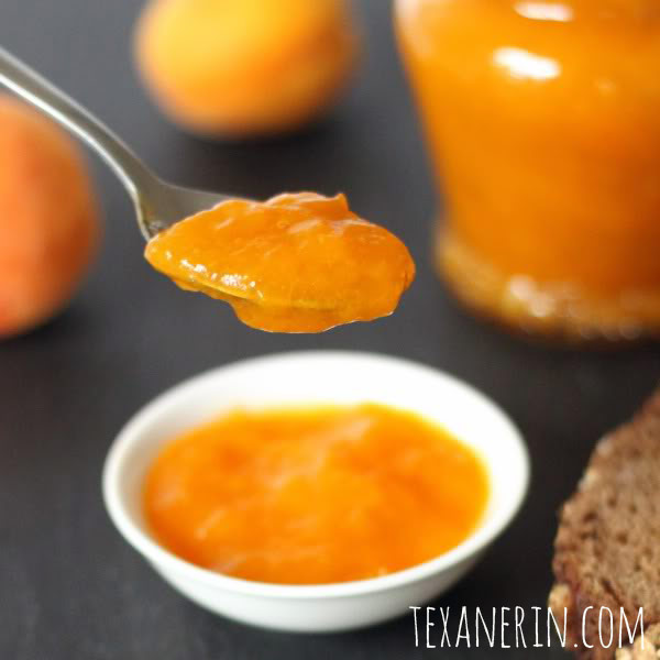 Honey Sweetened Apricot Jam | texanerin.com