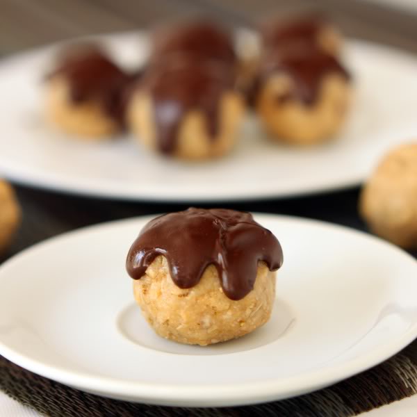 Dairy-free and Gluten-free No-bake Peanut Butter Coconut Oat Balls from texanerin.com