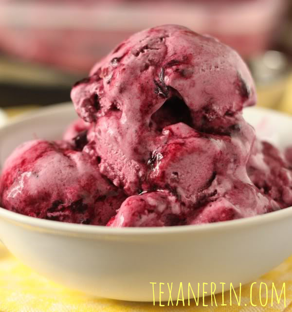 Healthier Blueberry Frozen Yogurt | texanerin.com