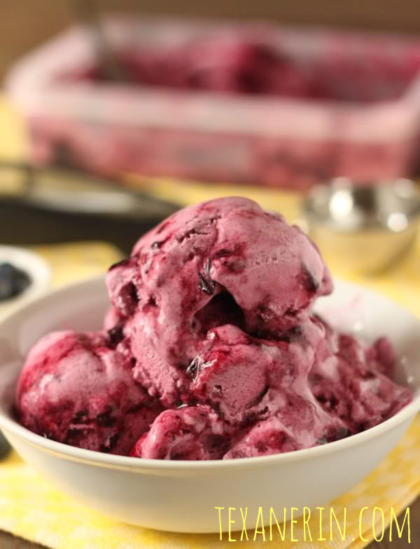 Healthier Blueberry Frozen Yogurt | texanerin.com