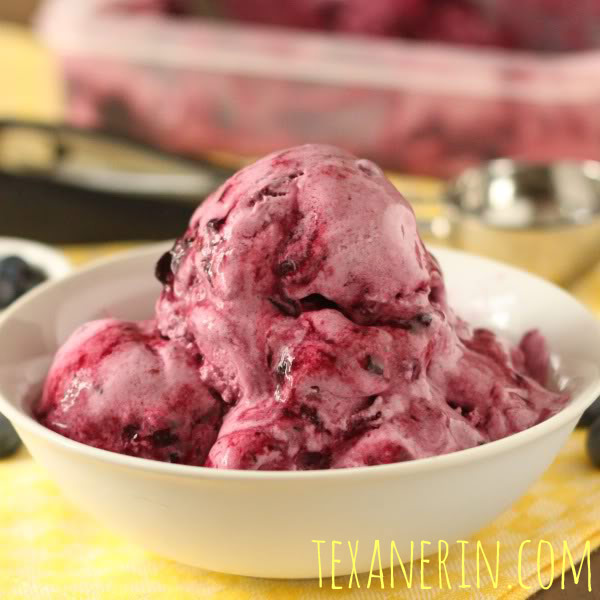 Healthier Blueberry Frozen Yogurt | texanerin.com