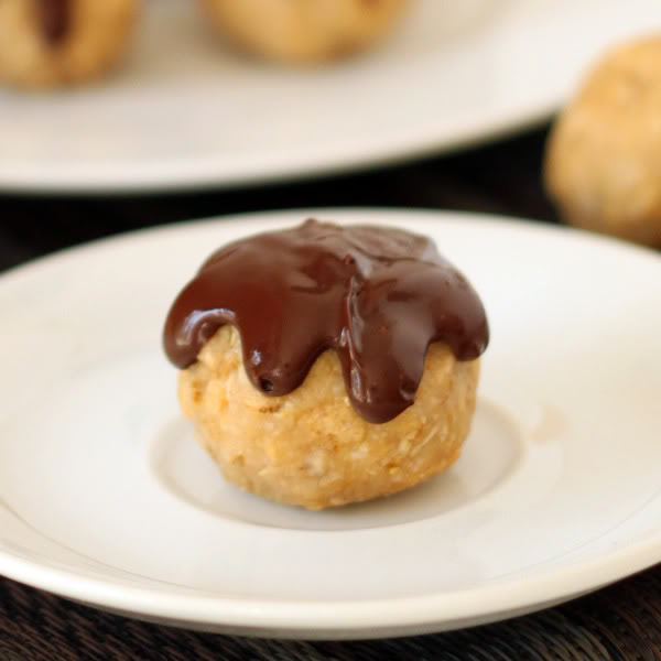 Gluten-free No-bake Peanut Butter Coconut Oat Balls | texanerin.com