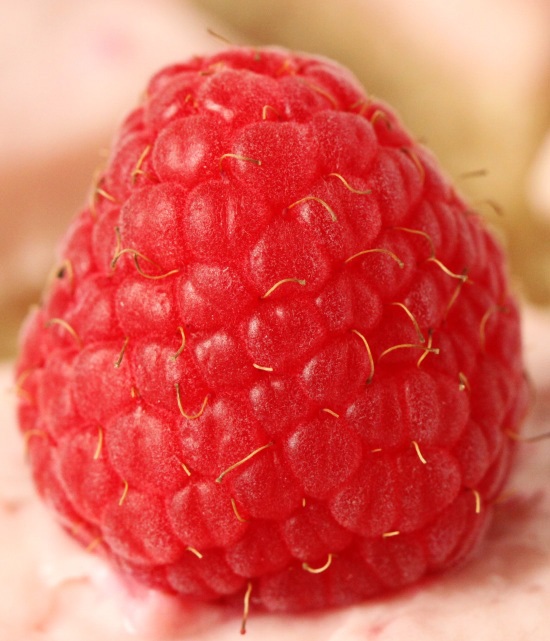 Raspberry! | texanerin.com
