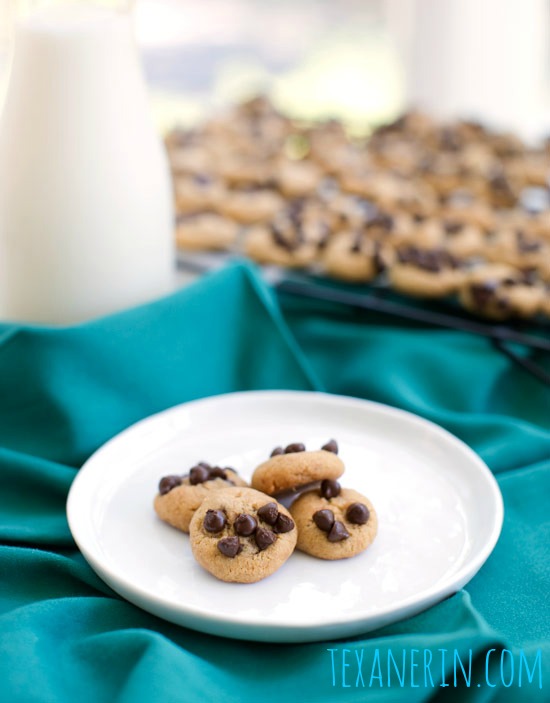 Healthier Sundaes (Whole Grain Peanut Butter Cookies + Peanut Butter Banana Ice Cream) | texanerin.com