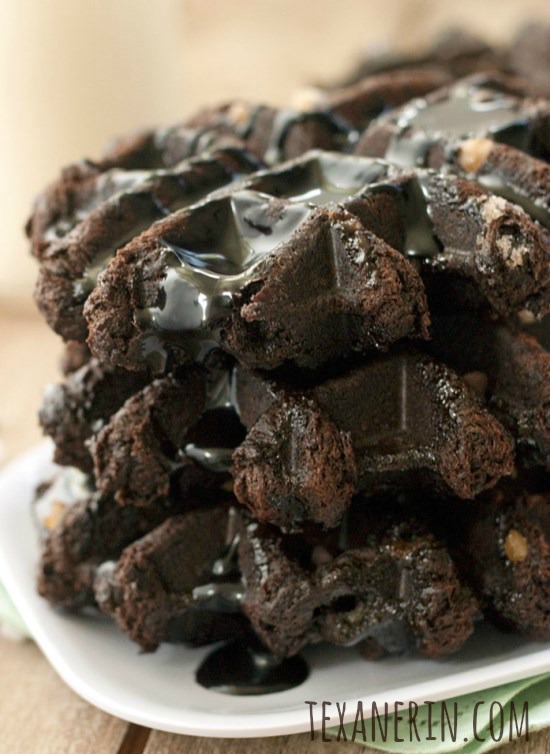 Whole Grain Chocolate Liege Waffles | texanerin.com