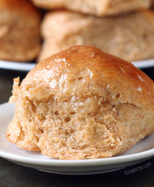 The best 100% whole wheat dinner rolls ever – so incredibly fluffy! With a dairy-free option.