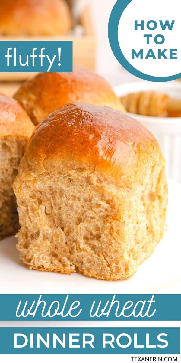 Whole Wheat Rolls (soft and ultra fluffy!) - Texanerin Baking