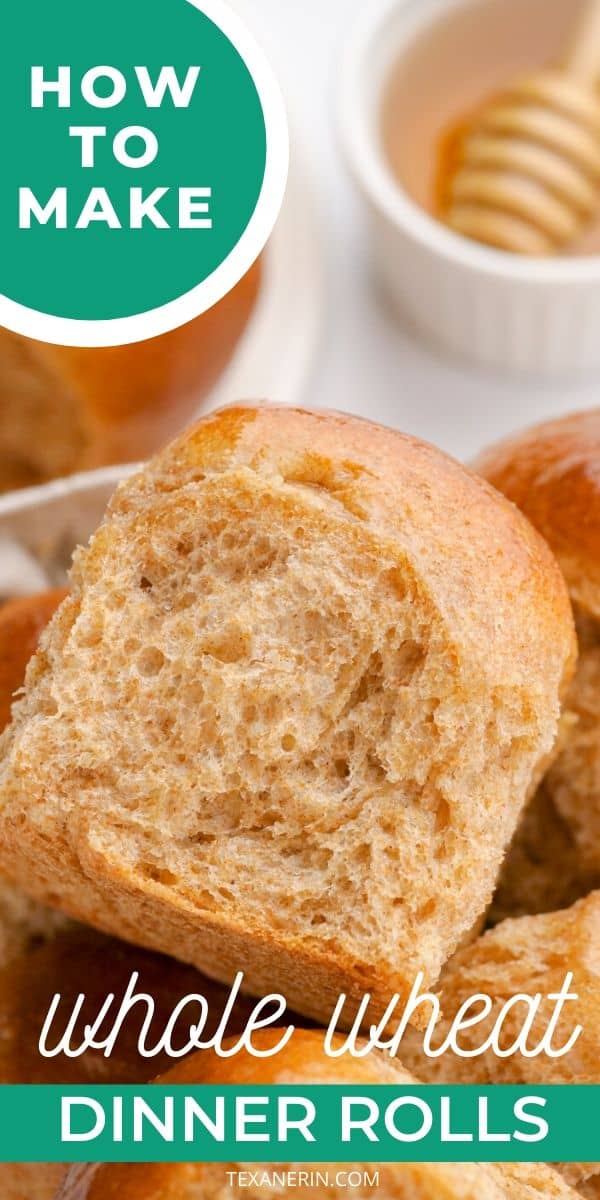 These whole wheat rolls are fluffy, stay soft for days, and make excellent sandwiches! A must-have for Thanksgiving and Christmas. With a dairy-free option.