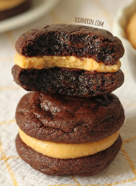 These Flourless Chocolate Peanut Butter Cookie Sandwiches are grain-free, dairy-free and super easy to put together! Don't require any unusual ingredients, either.