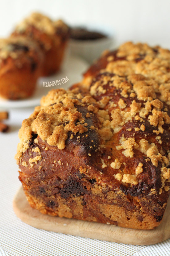 This Chocolate Babka is made just a little healthier with whole grains!