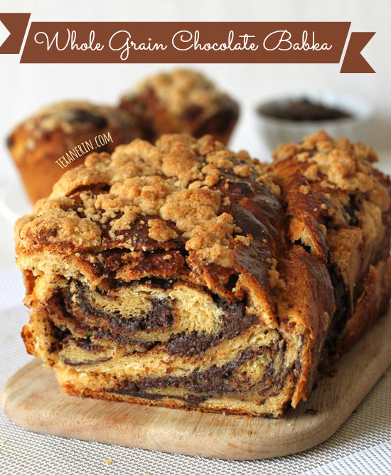 Chocolate Babka made just a little healthier with whole grains!