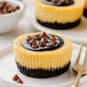 Baileys Cheesecakes (easy homemade cookie crust!)