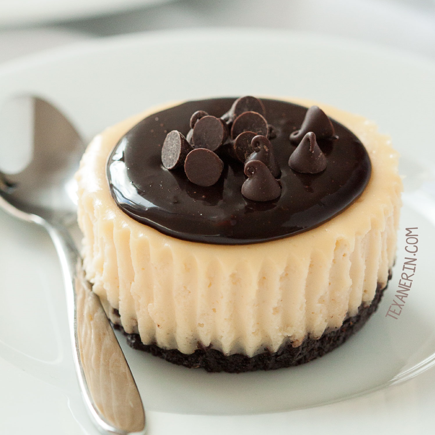 Mini Irish Cream Cheesecakes Gluten Free Whole Grain