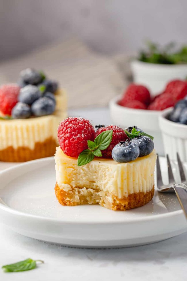 Mini Gluten-free Cheesecakes (super creamy, fantastic crust!) - Texanerin  Baking