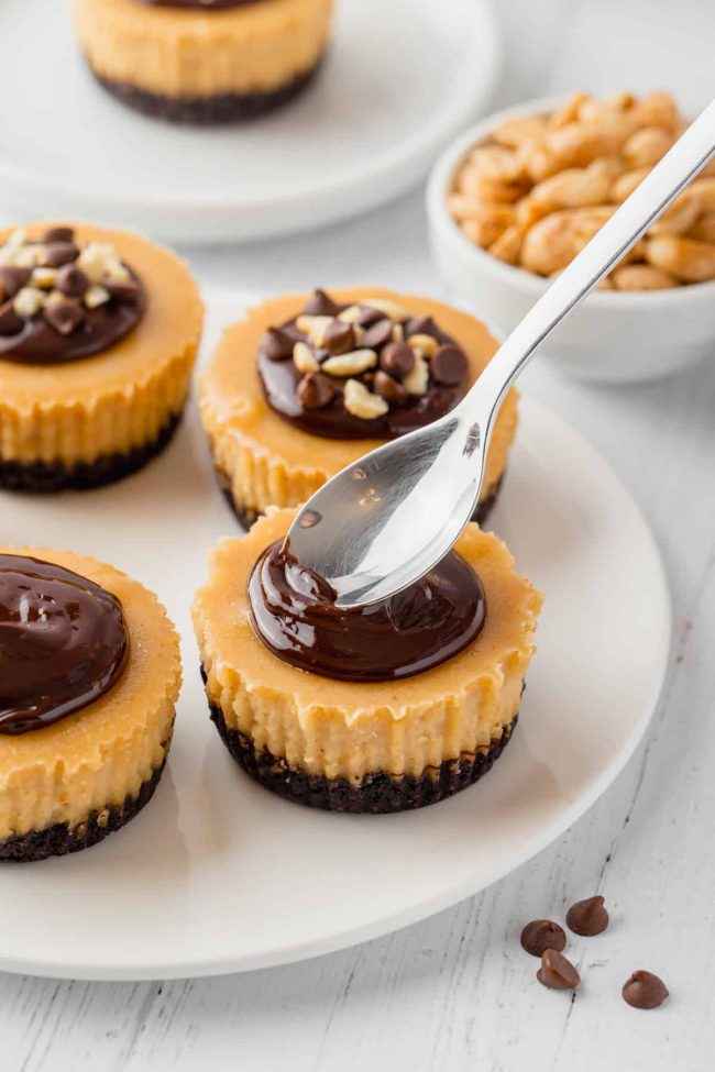 These mini peanut butter cheesecakes are made just a little healthier with natural peanut butter and honey and the crusts can be made gluten-free, whole wheat or with all-purpose flour!