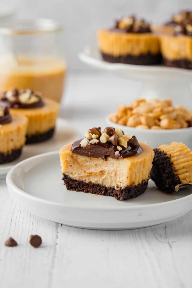 These mini peanut butter cheesecakes are made a little healthier with natural peanut butter and honey and the crusts can be made with gluten-free, whole wheat or with all-purpose flours!