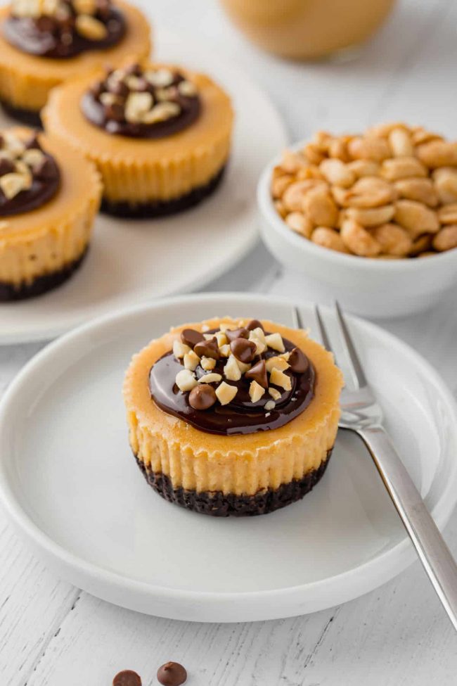 These mini peanut butter cheesecakes are made a little healthier with natural peanut butter and honey and the crusts can be made gluten-free, whole wheat or with all-purpose flour!