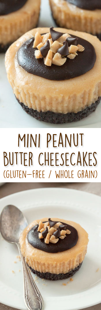 These mini peanut butter cheesecakes are made a little healthier with natural peanut butter and honey and can be made gluten-free, grain-free, and 100% whole grain!