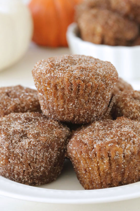 Gluten-free Pumpkin Donuts {dairy-free, grain-free, and gluten-free}