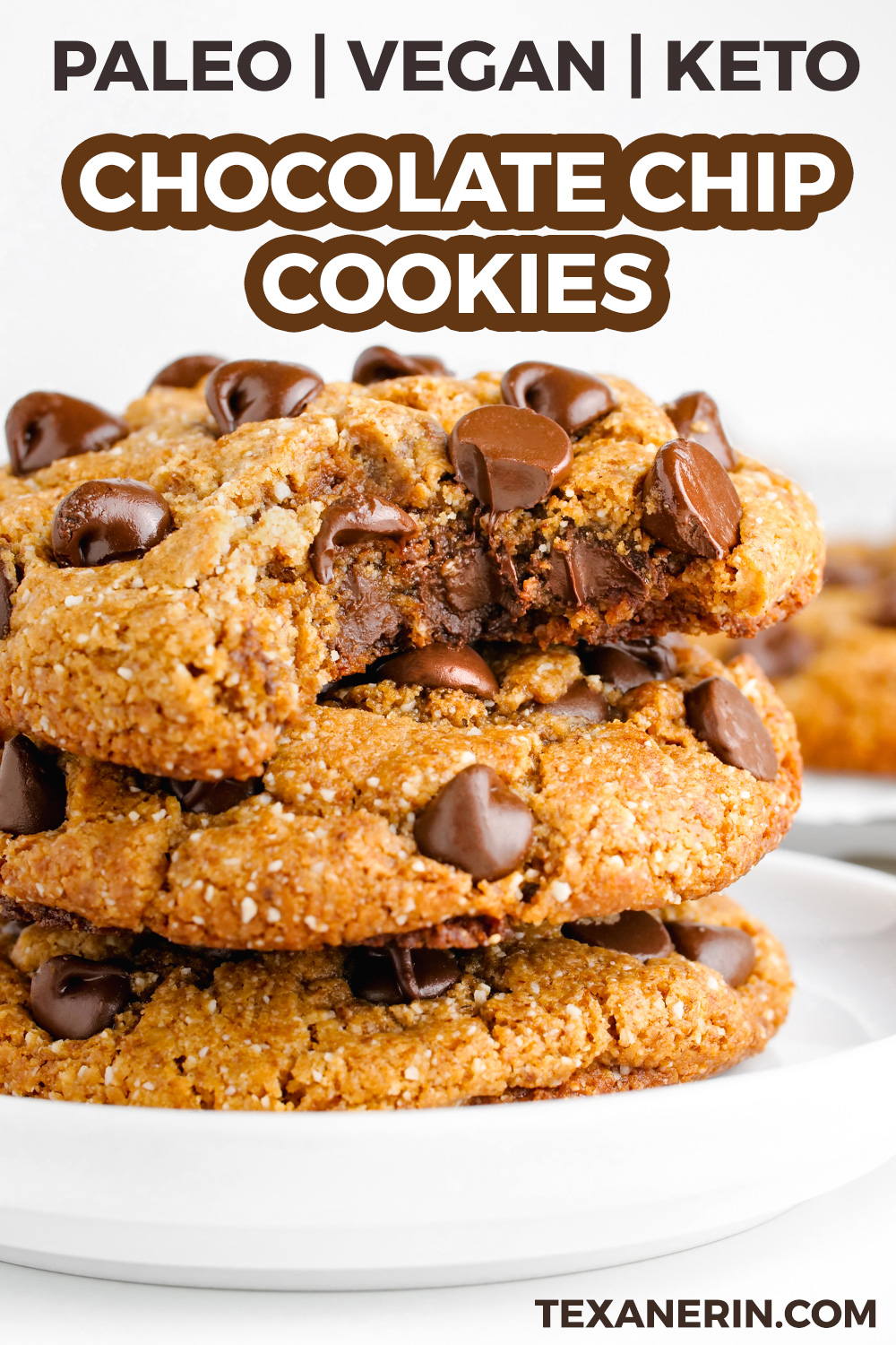 Perfect Paleo Chocolate Chip Cookies (vegan / keto options ...