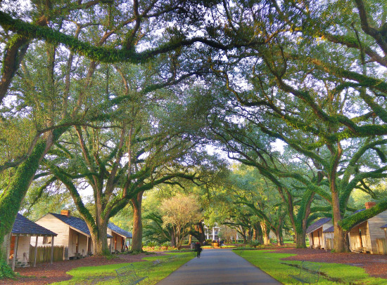 Oak Valley Plantation