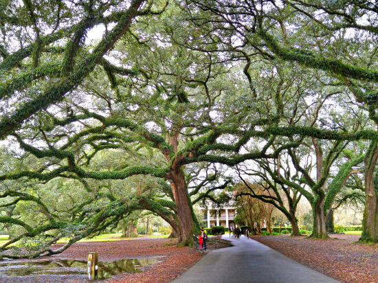 Oak Valley Plantation