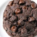 Paleo Chocolate Cookies