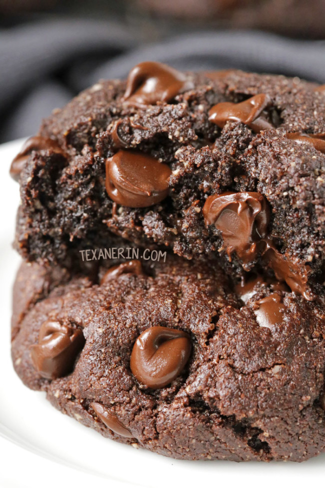 Perfect Paleo Double Chocolate Cookies (with a vegan option) – super rich, soft and chewy just like a traditional double chocolate cookie! Nobody will know these are paleo, grain-free, gluten-free, and dairy-free.