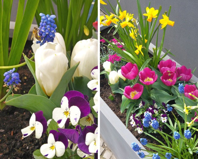 Flowers outside of Hotel OTTO
