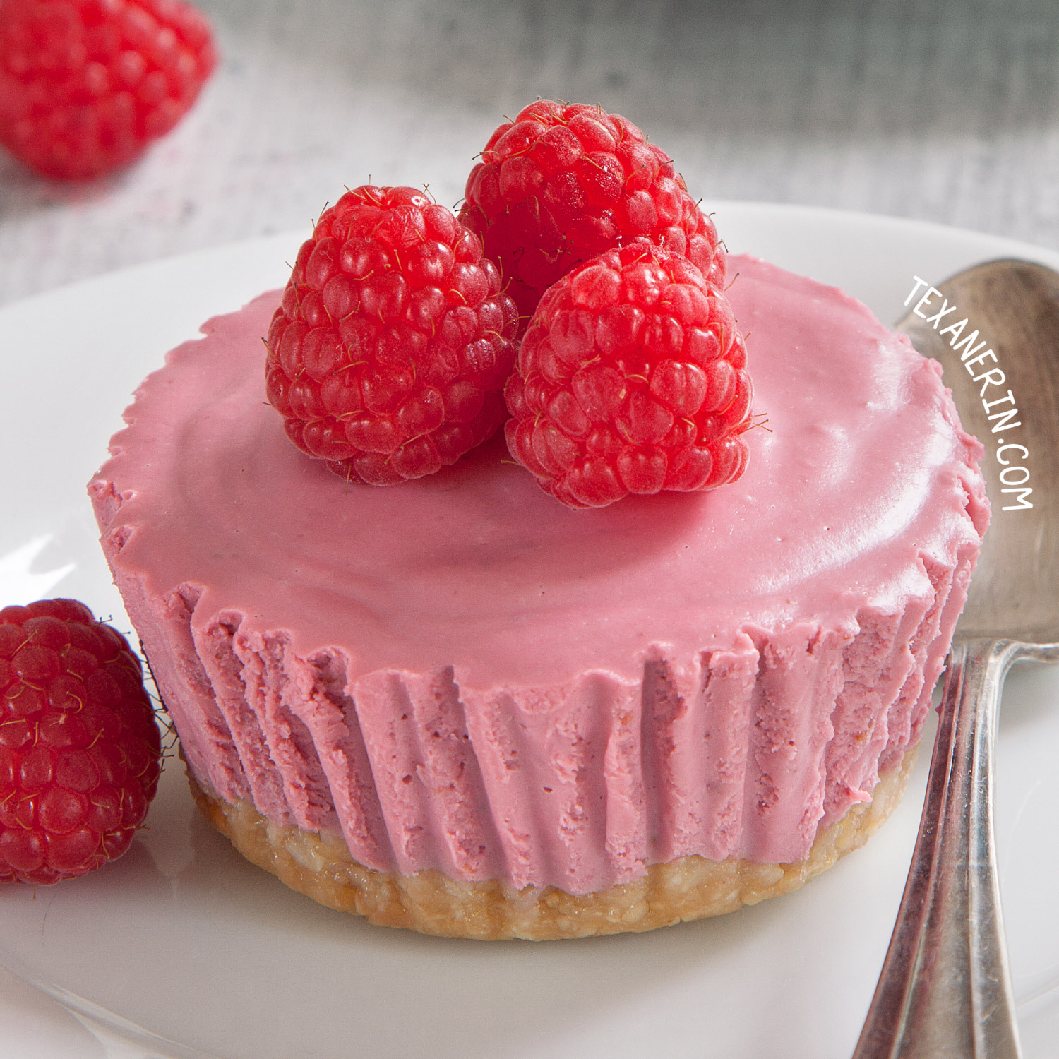 Paleo No-Bake Raspberry Cream Pies (vegan, grain-free, gluten-free