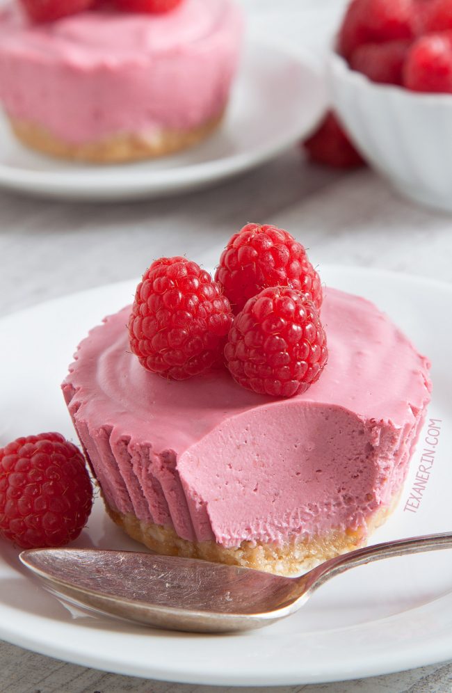 Paleo No-Bake Raspberry Cream Pies (vegan, grain-free, gluten-free, dairy-free)