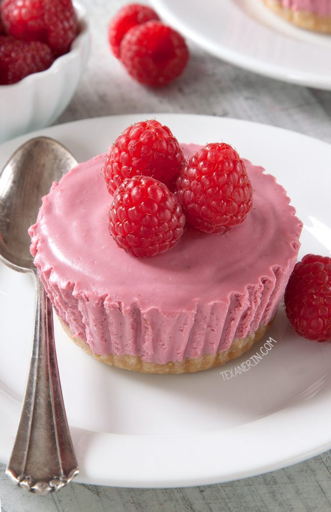 Paleo No-Bake Raspberry Cream Pies (vegan, gluten-free, grain-free, dairy-free)