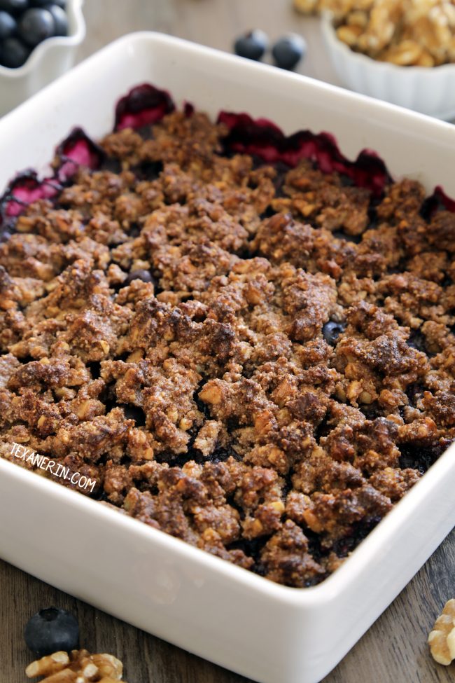 Paleo Blueberry Crisp (vegan, grain-free, gluten-free, dairy-free)