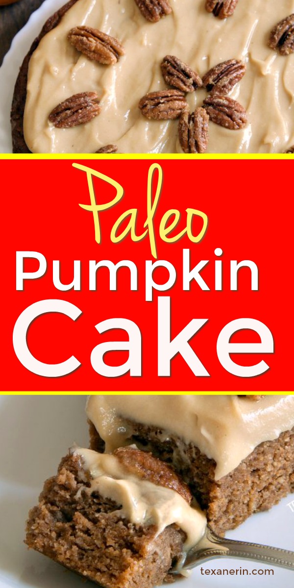 This paleo pumpkin cake is super moist and easy to make! Topped off with maple cream frosting and easy maple candied pecans.