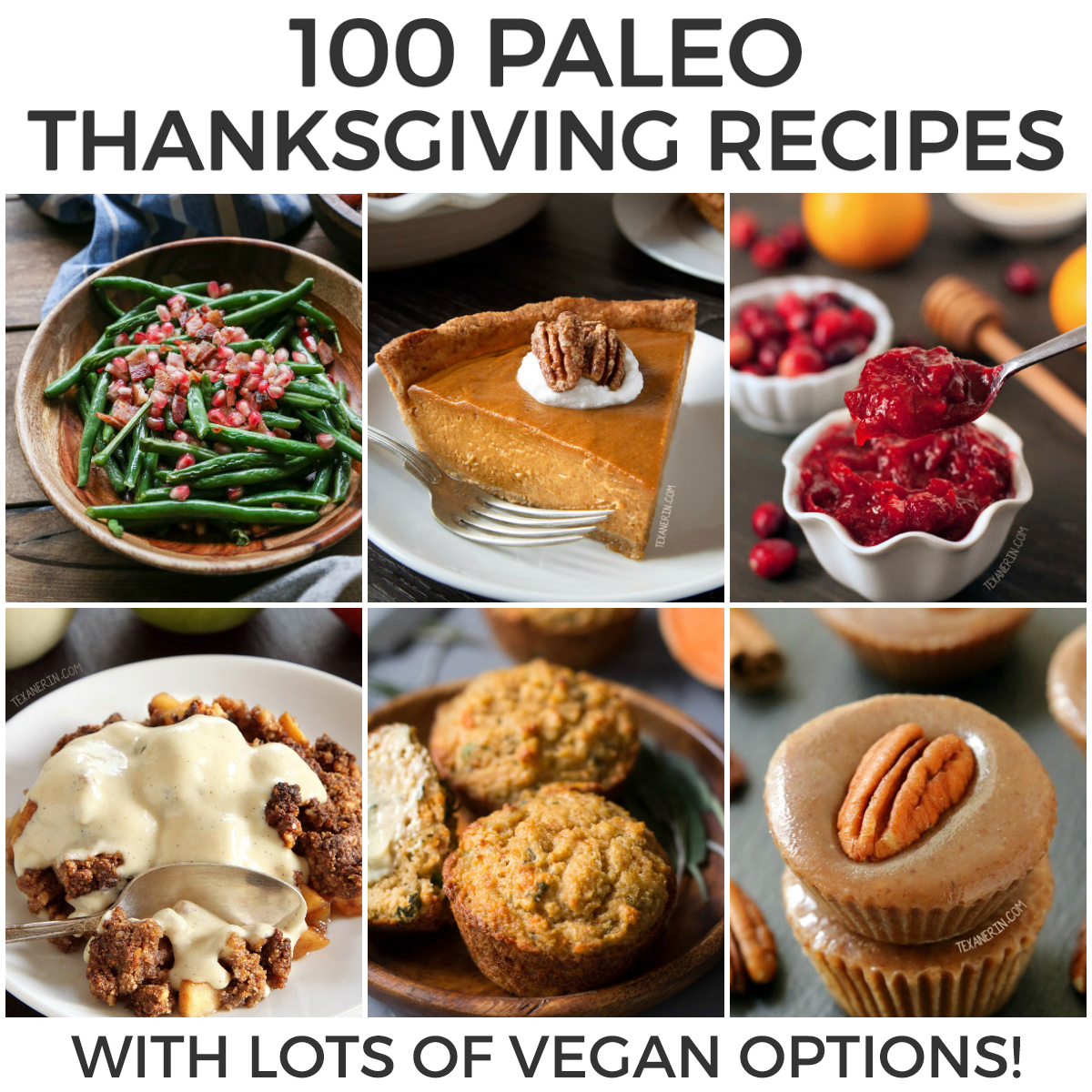 100 Paleo Thanksgiving Recipes that Your Family Will Love - Texanerin ...