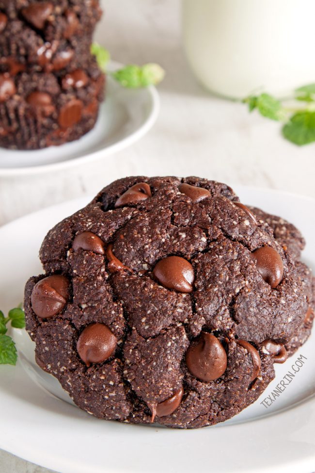 Perfect Paleo Peppermint Cookies (vegan option, grain-free, gluten-free, dairy-free)