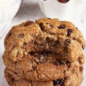 Paleo Oatmeal Cookies (vegan option)