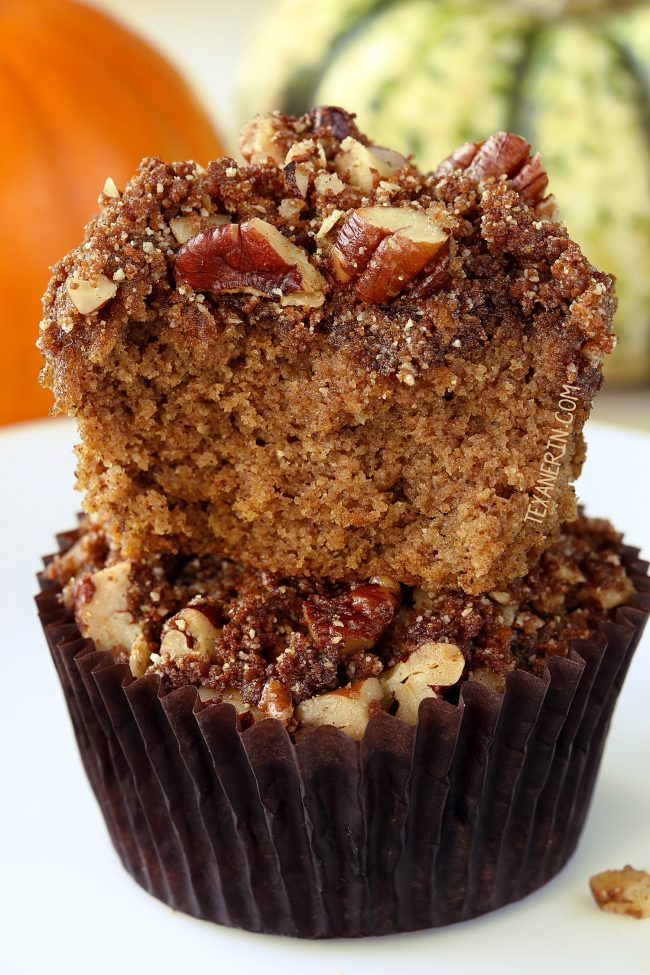 Paleo Pumpkin Muffins with Streusel (grain-free, dairy-free, and gluten-free). With a recipe video.