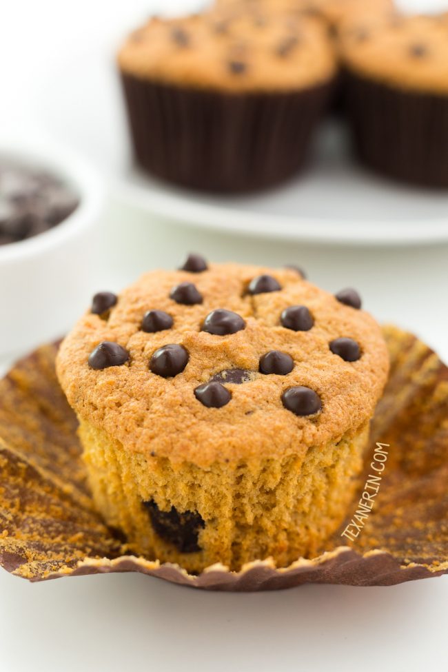 These Paleo Chocolate Chip Muffins have a great texture similar to angel food cake! With a how-to recipe video.
